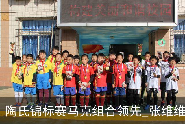 陶氏锦标赛马克组合领先 张维维/张雅惠上升到T10
